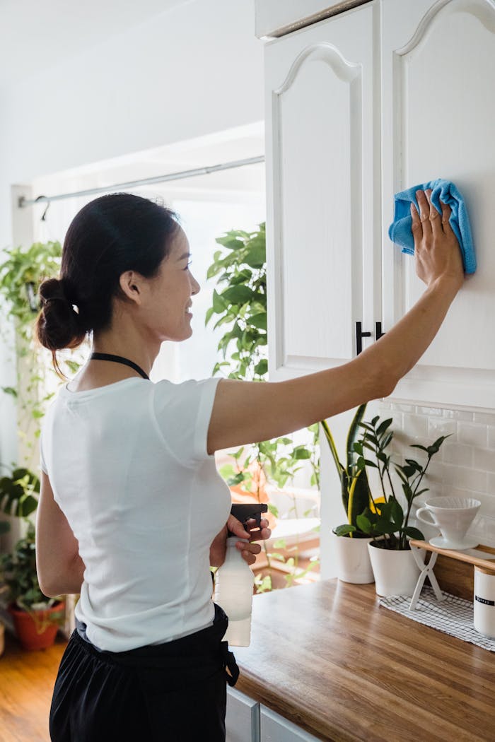 gallery-04 Asian woman cleaning kitchen cabinet with cloth and spray bottle indoors.